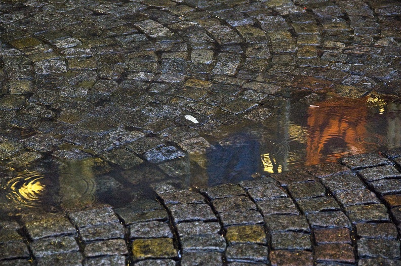 RBC102 DSC 0047