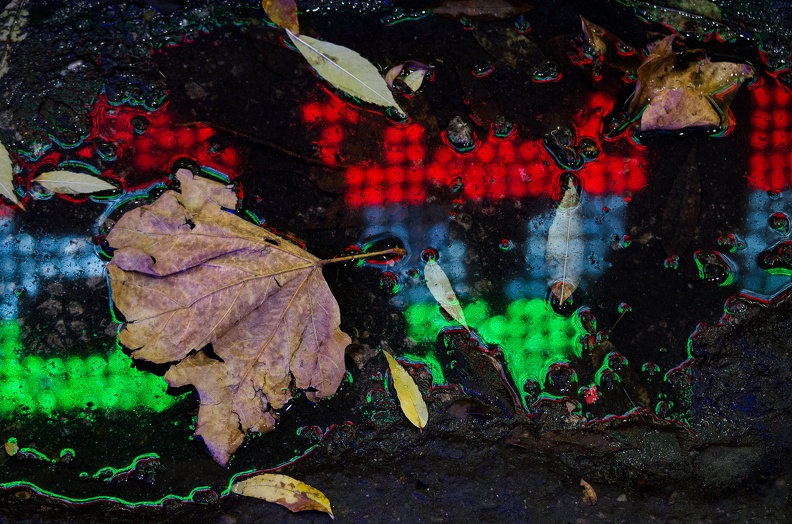 RBC103 DSC 0183 copie